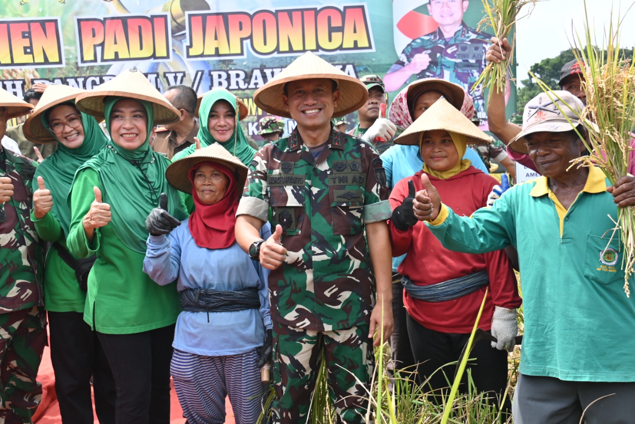 1. Pangdam VBrawijaya Panen Raya Padi Japonica di Ngawi