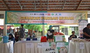 IMG-20241030-WA0034