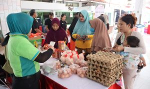 IMG-20241130-WA0034
