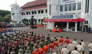 IMG-20241221-WA0050(1)