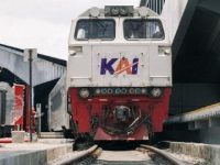 IMG-20260811-WA0041